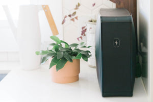 HomeSoap (Preorder - Ships Before Sep 23rd)